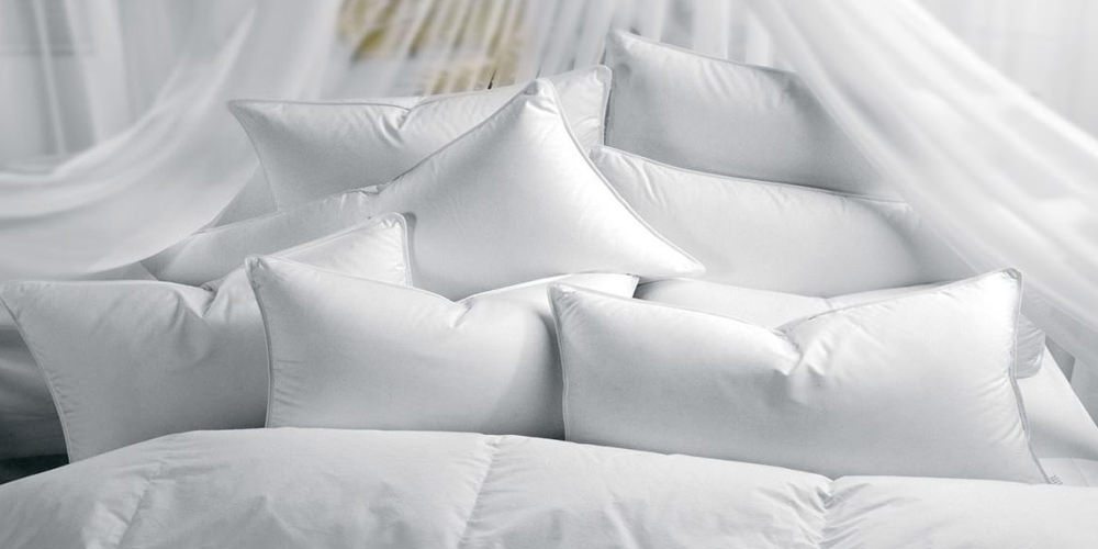 Johalaide Set Di 2 Cuscini In Piuma D'oca - King Size 50x91 Cm, Federa In Cotone, 10% Piuma 90% Piume