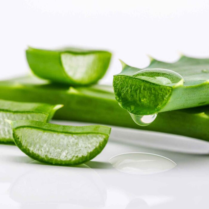 Topper memo aloe samor